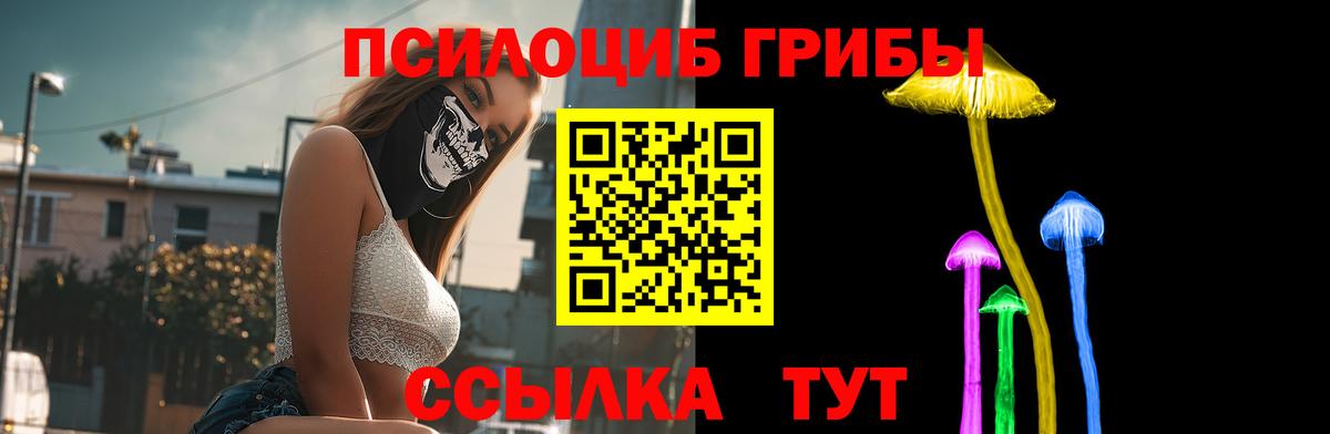 Псилоцибиновые грибы Psilocybine cubensis  Вход с VPN  Калуга  Псилоцибиновые грибы MAGIC MUSHROOMS 